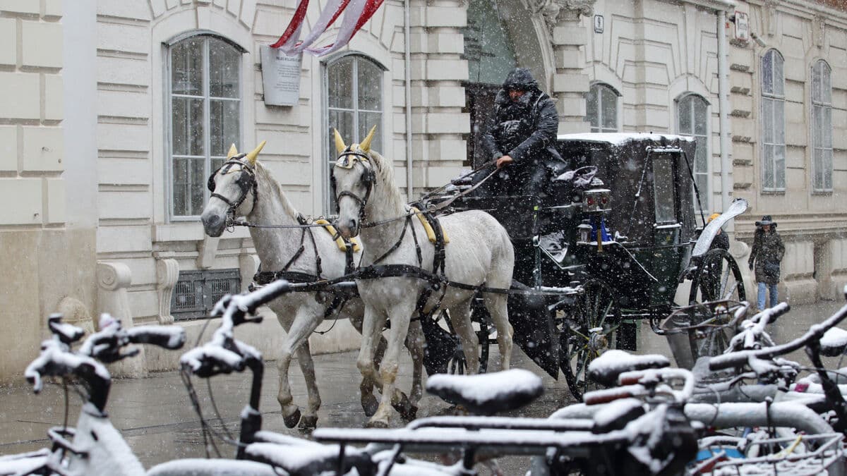 At least five dead in snow chaos in Austria as avalanches claim four lives, Vienna Airport closes and roads come to a standstill