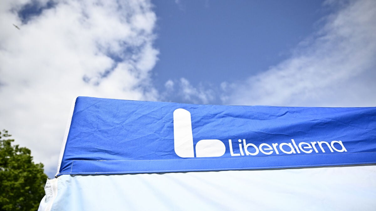 Liberals in Gothenburg open to cooperating with Sweden Democrats after elections this fall