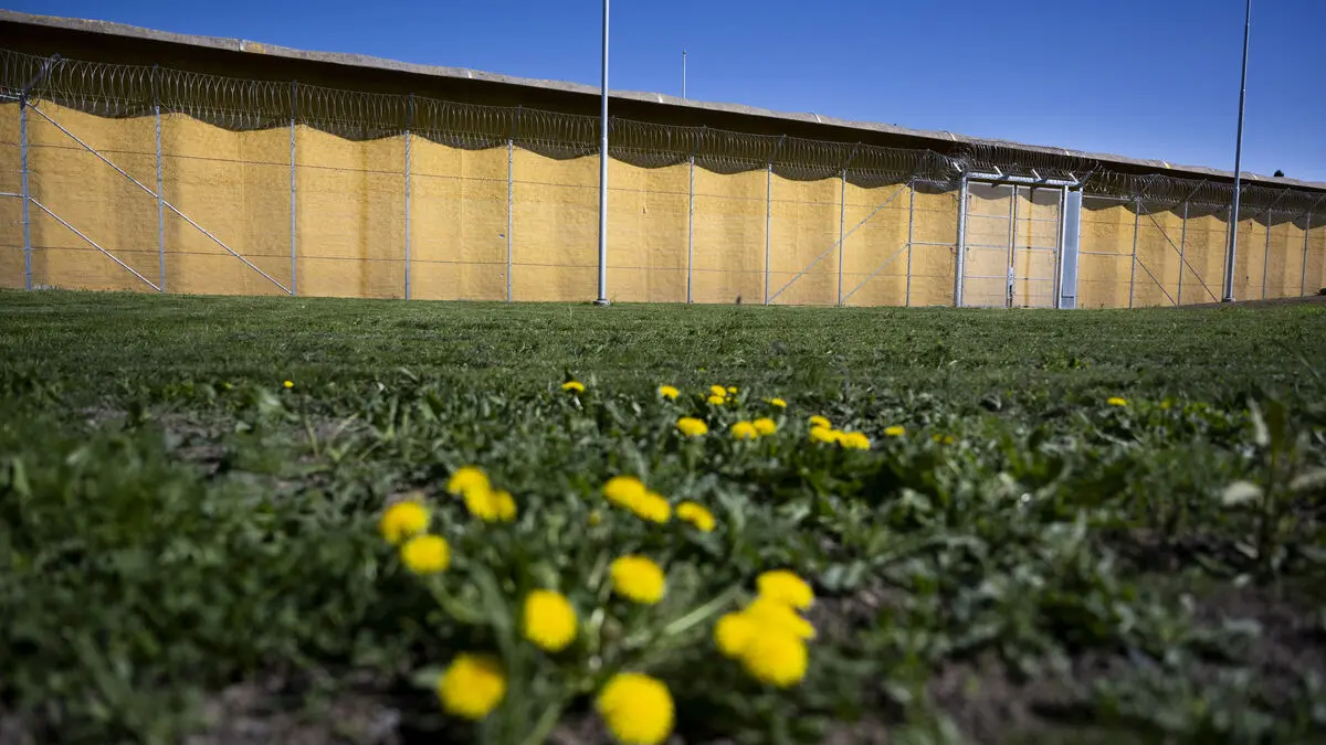 More people receive life sentences for murder after 2020 law change