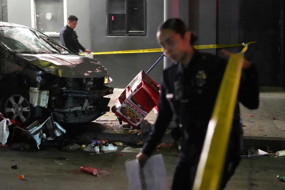 Man Detained for Driving Into Los Angeles Nightclub Crowd