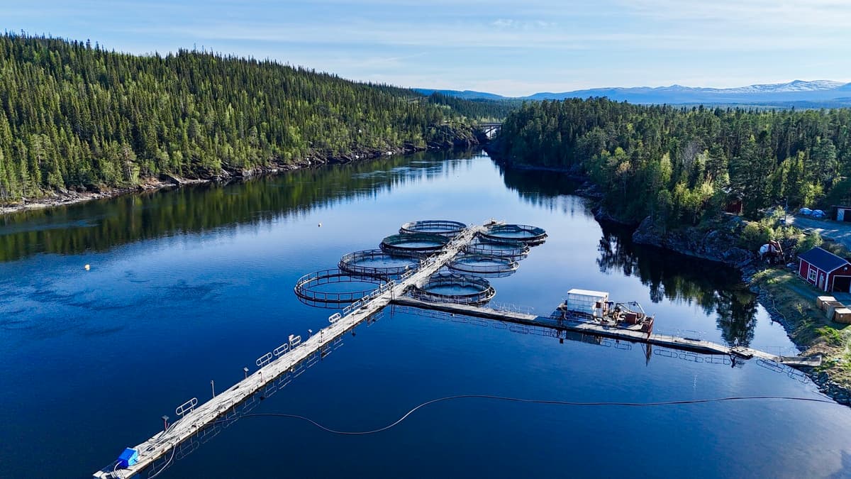 Sweden Eases Regulations to Boost Domestic Food Fish Farming