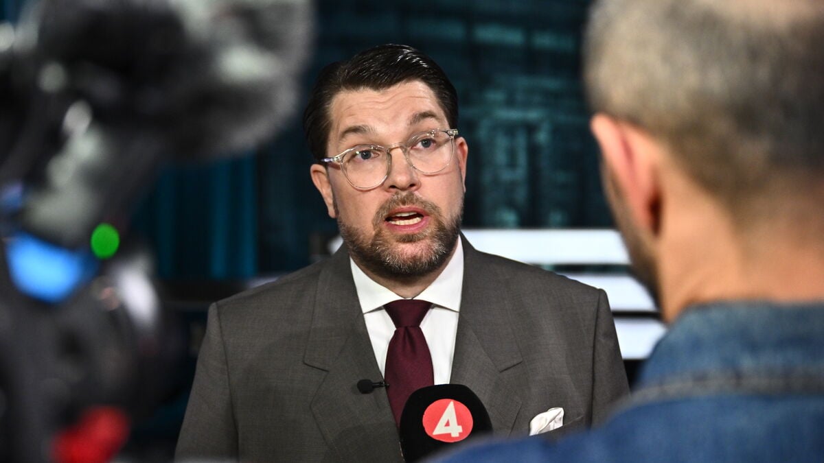 Åkesson on Sweden Democrats flyers in Hylte, Halland: truly inappropriate