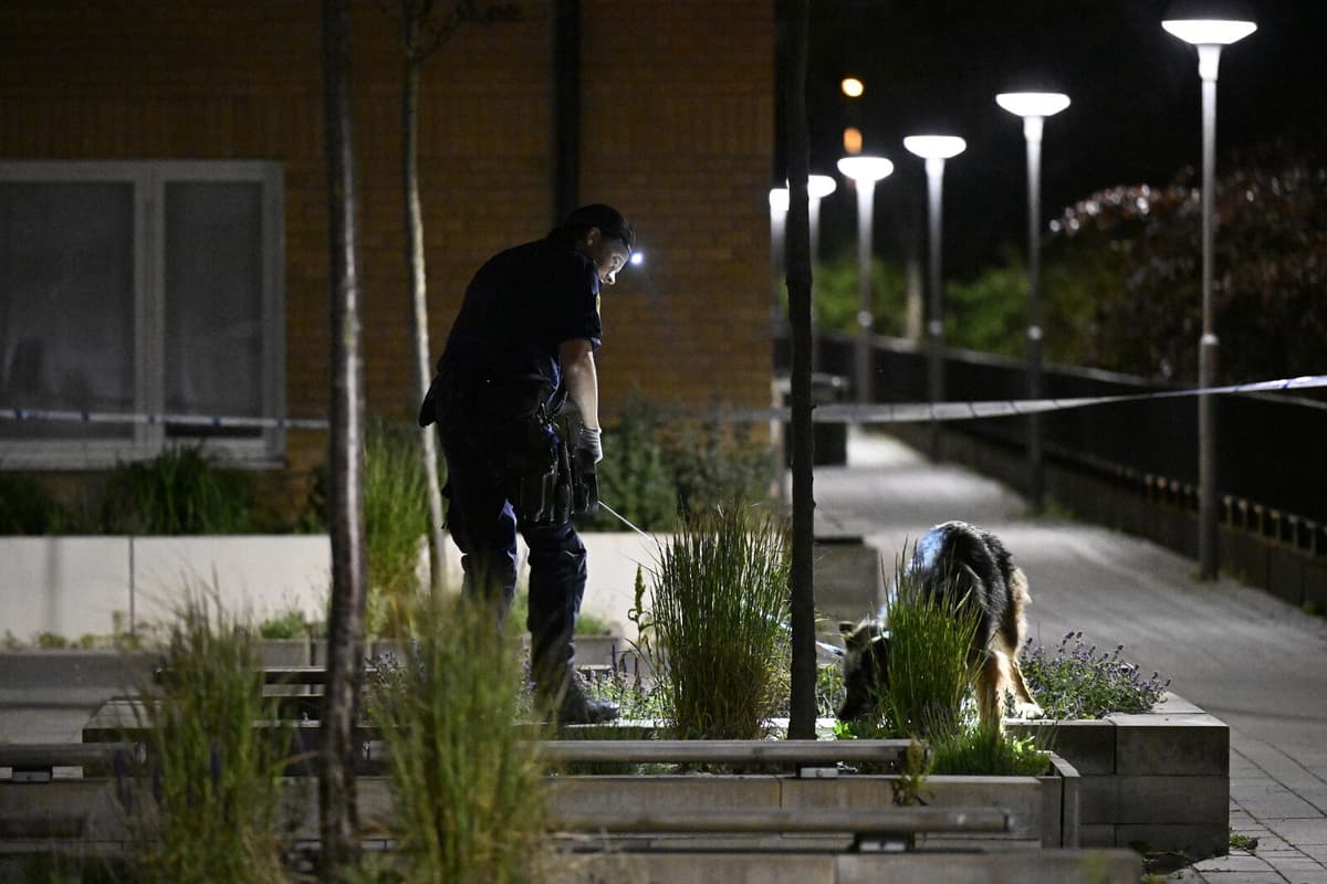 Man Acquitted in Malmö Knife Murder Case