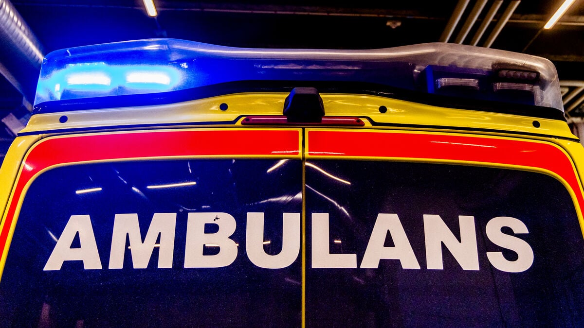 Cyclist dies after being hit by falling tree in Laholm