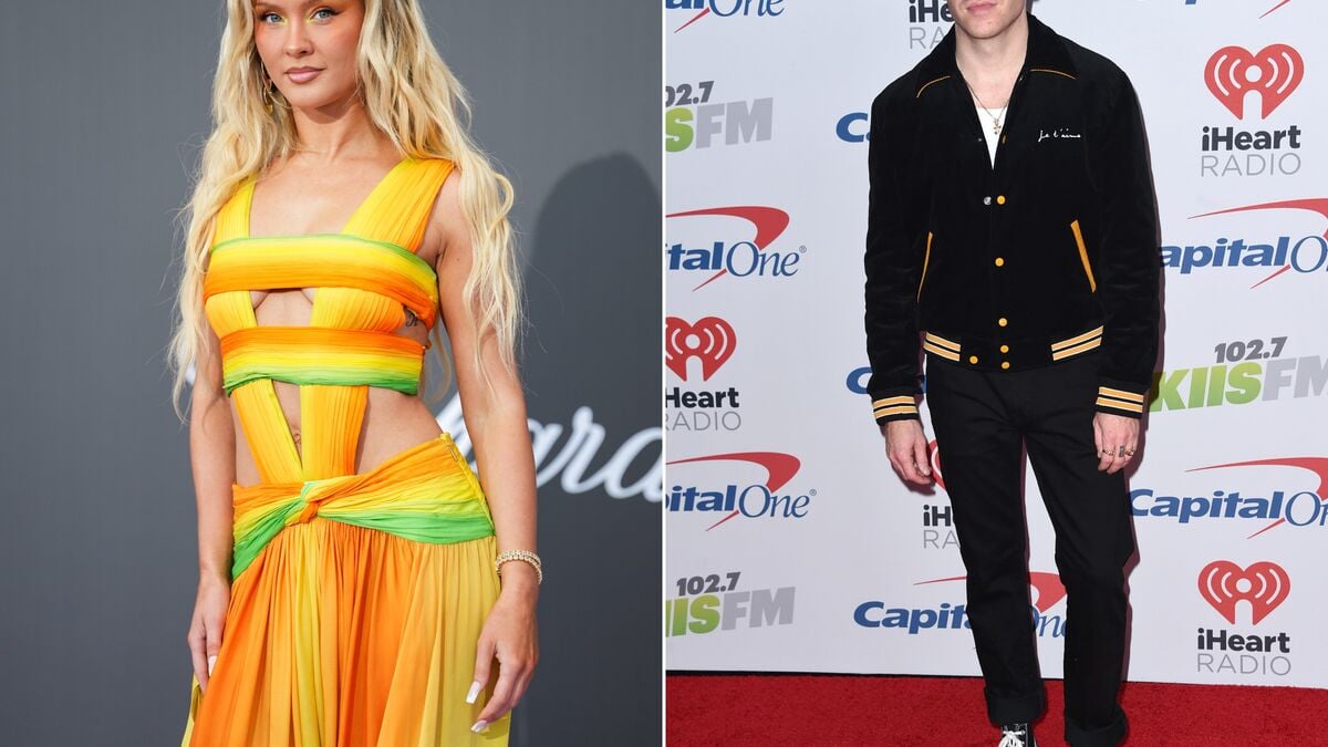 Zara Larsson backs Macklemore after he was dropped from Ed Sheeran tour: I respect that so much