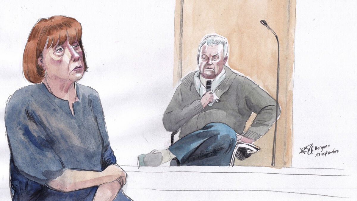 Convicted rapist Dominique Pelicot seeks publisher