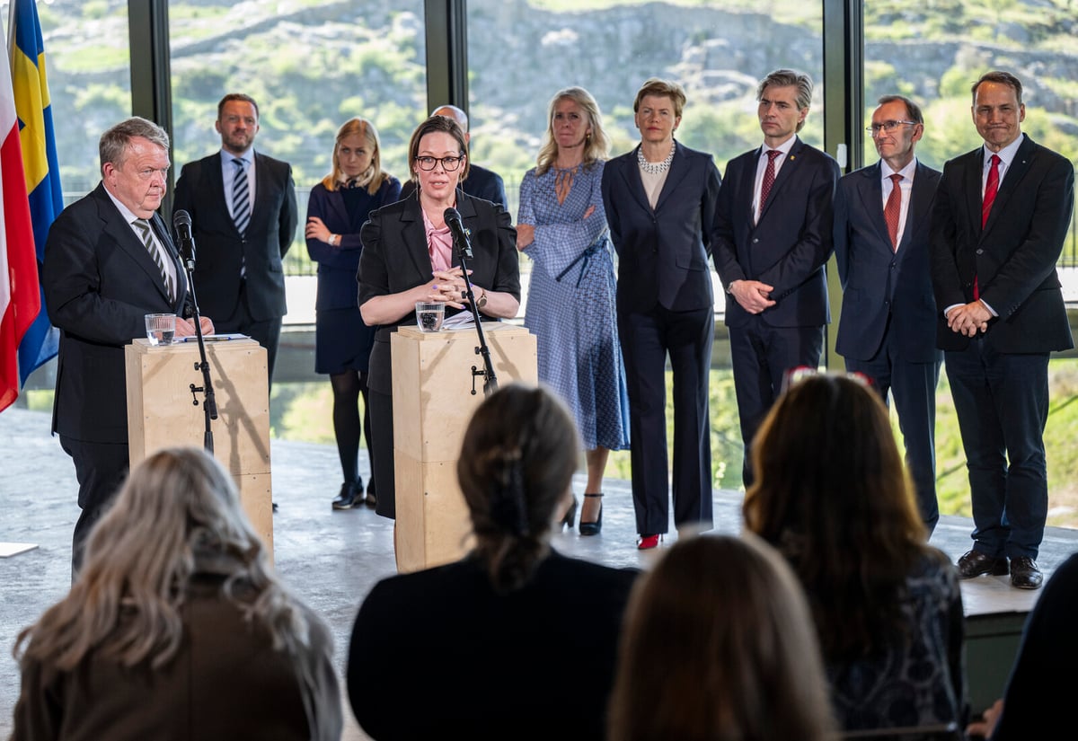 Nordic Countries Support Trump's Peace Efforts for Ukraine
