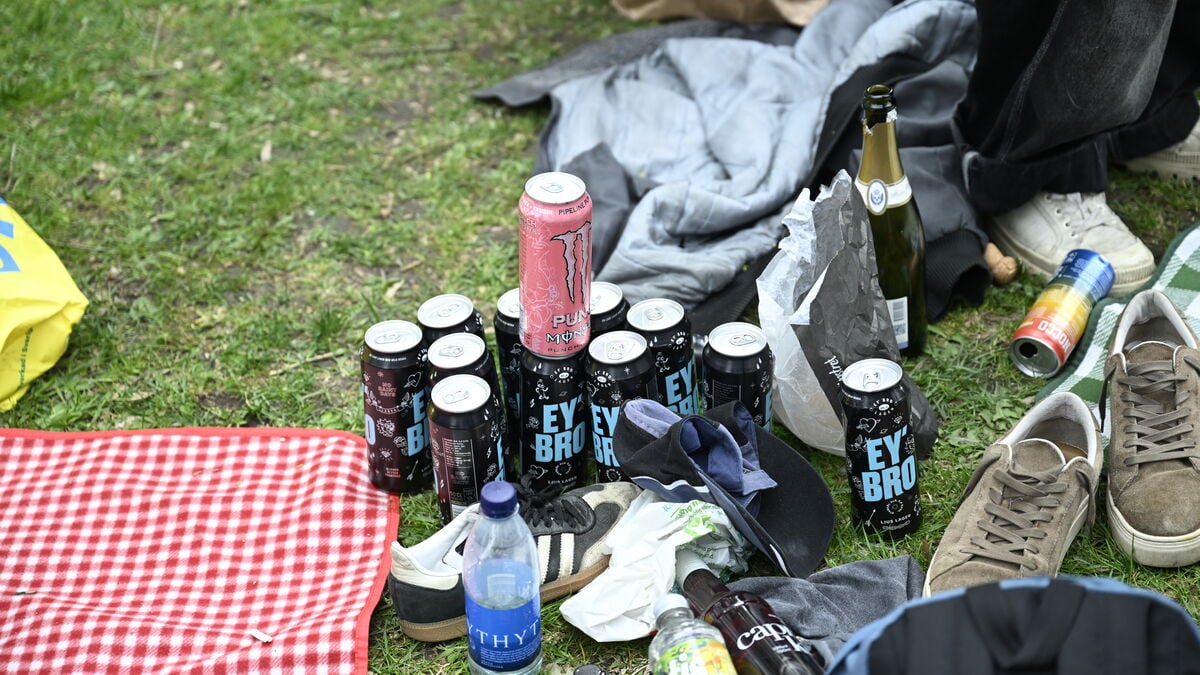 Swedish Youth Alcohol Consumption Lower Than European Average