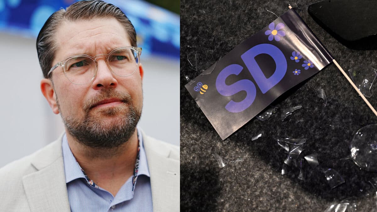 SD loses in 285 municipalities