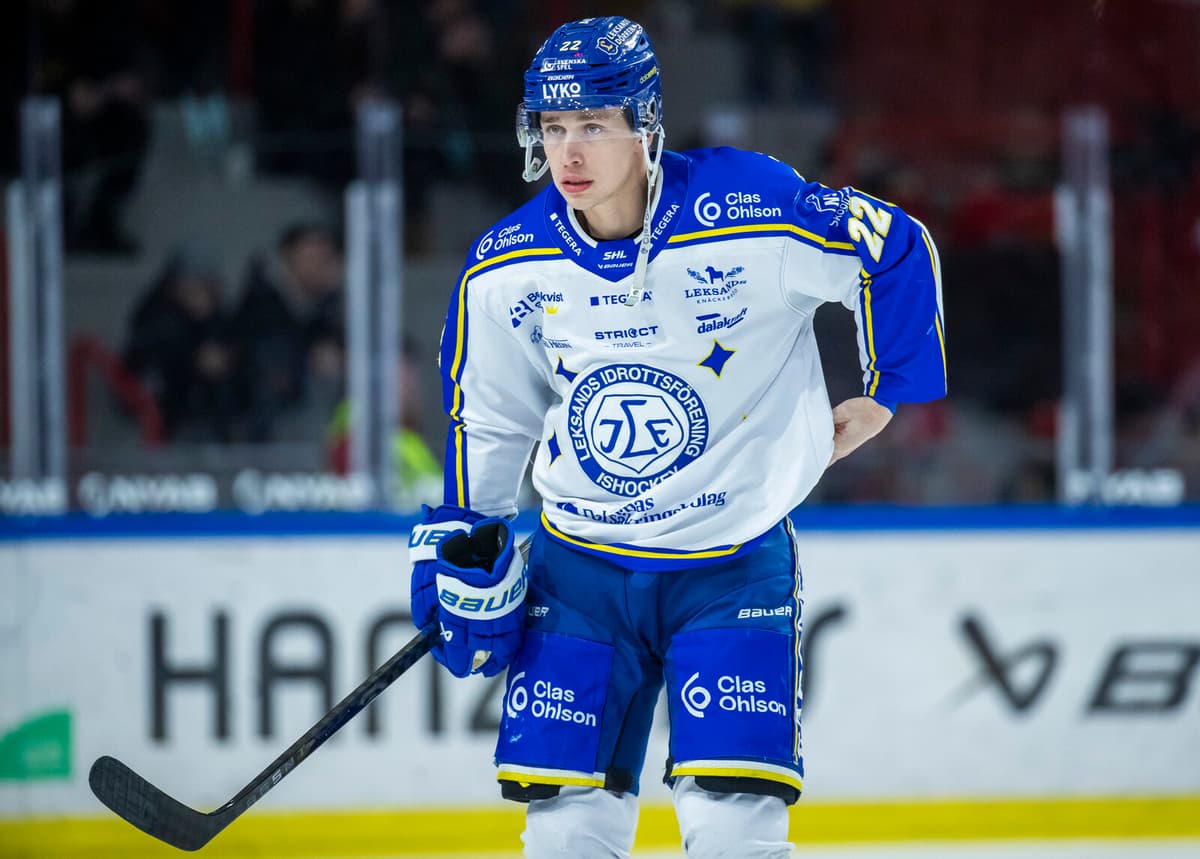 SHL Star Lukas Vejdemo Suffers Hearing Loss After Puck Injury