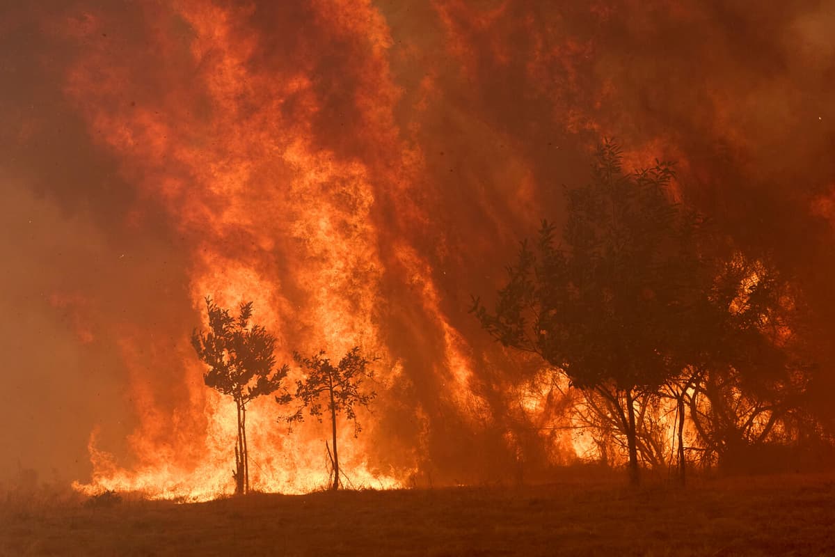 Europe's Highest Forest Fire Emissions in 23 Years After Summer Fires