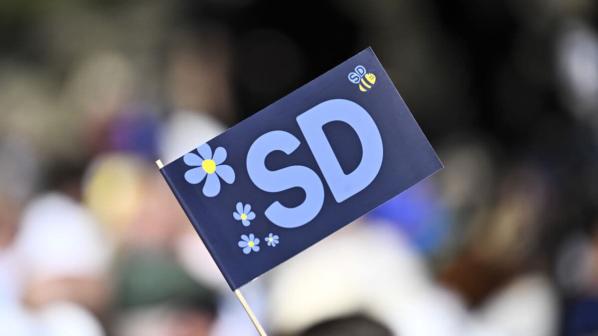 Demands resignation after SD's social services flyer