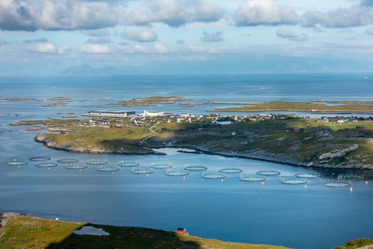 Norwegian Salmon Tycoon Håkon Olaisen Dies in Poland Accident