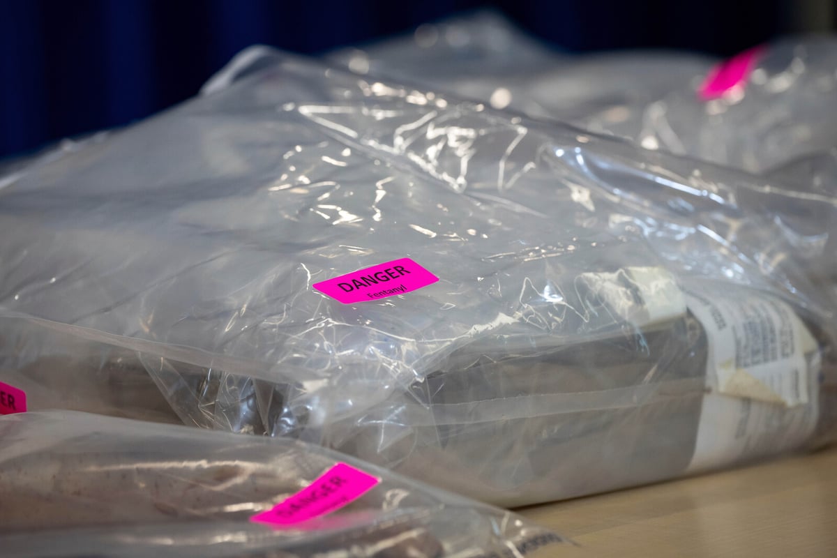 US Opioid Overdose Deaths Drop Sharply in Latest Report