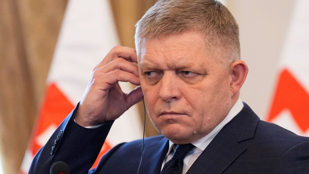 Slovakia: Druzjba pipeline reopens as Russian oil deliveries resume