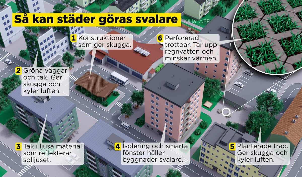 Cities Face Rising Heat Challenges as Climate Warms, Experts Warn