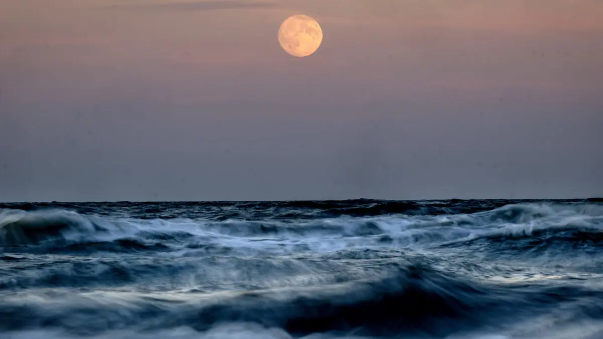 Polish swimmer crosses Baltic Sea in 55-hour ultra-endurance feat