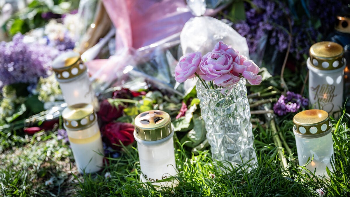 Man who drove teenage girl to death at Malmö pedestrian crossing may suffer from serious mental disorder
