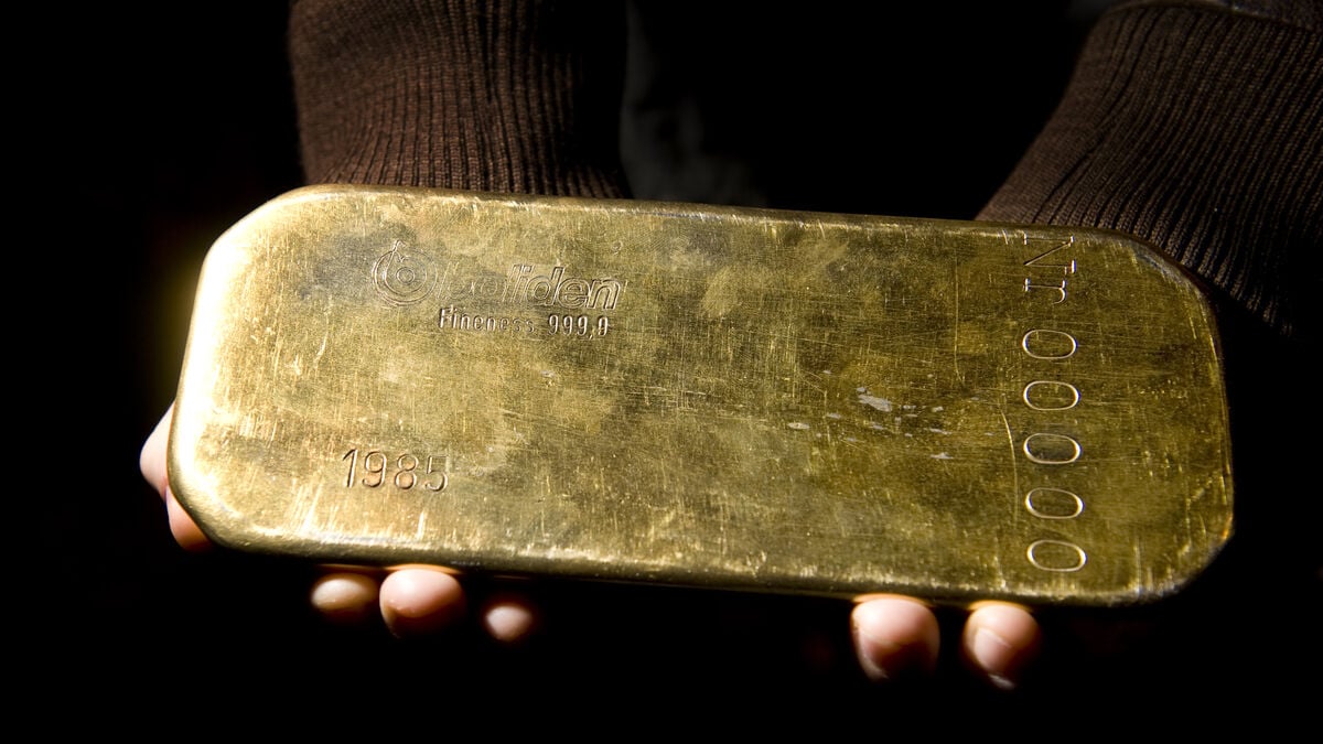 Was going to dig a pool on the property – found gold