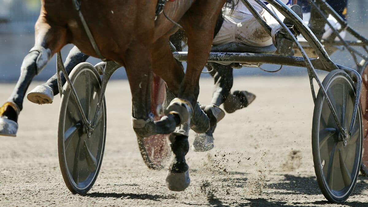 Trotting Race Accident at Östersundstravet Sends Driver to Hospital
