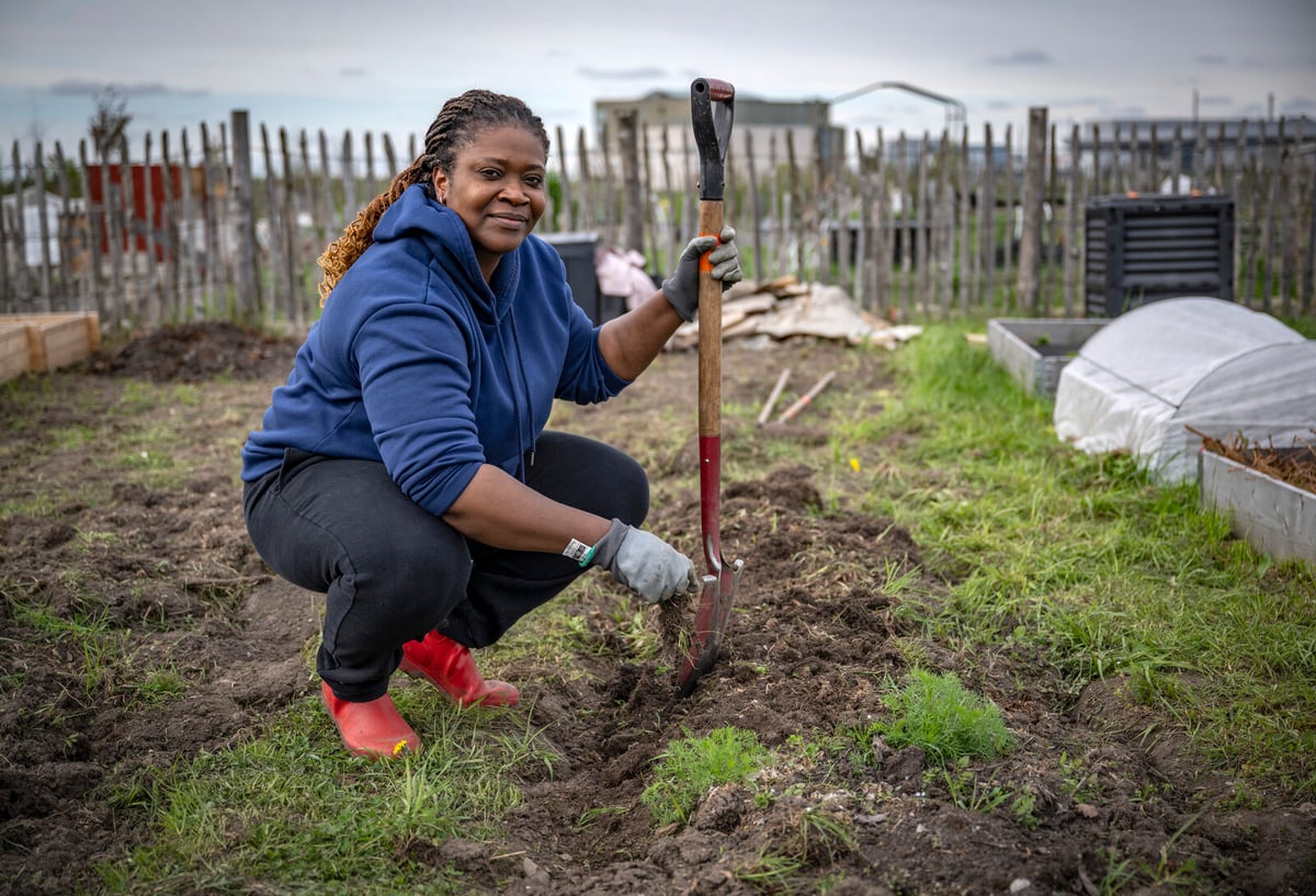 Swedish Gardeners Key to Crisis Resilience and Food Security