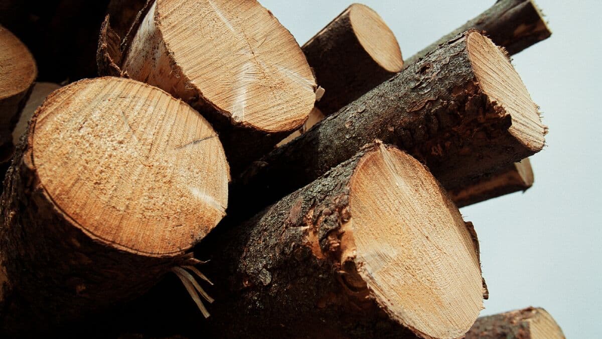 US Tariffs on Swedish Timber Threaten Sawmill Profitability