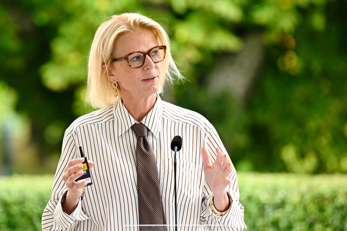 Swedish Government Proposes Halving Food VAT from April