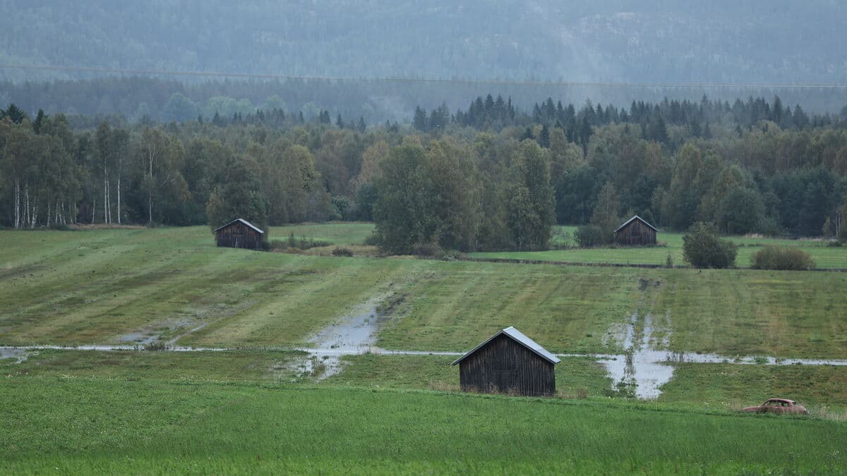 SMHI issues yellow warning for heavy downpours in parts of northern Sweden