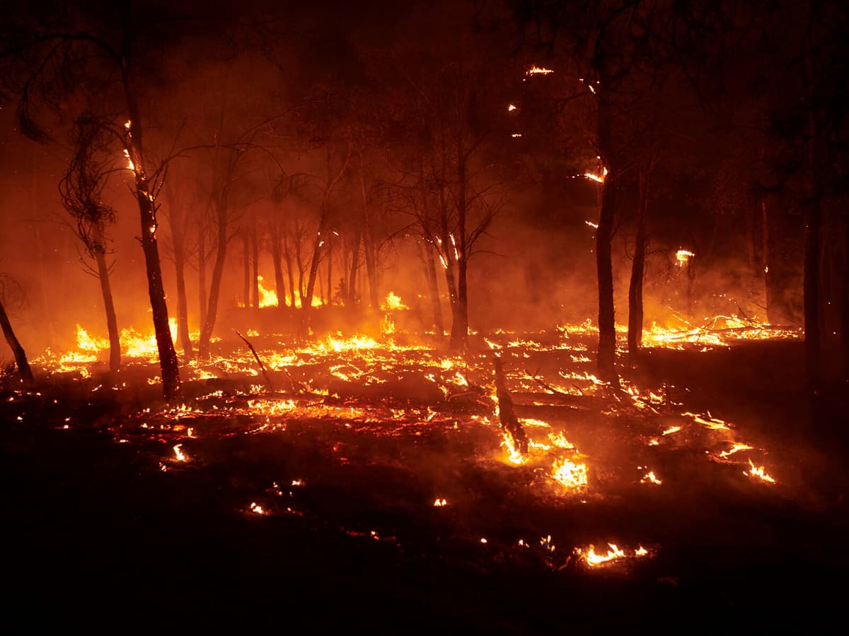 Spain Wildfires Rage Out of Control as EU Offers Assistance