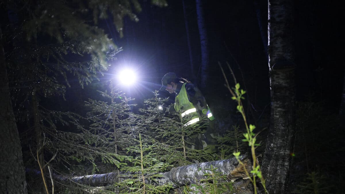 Missing two-year-old found alive, family
