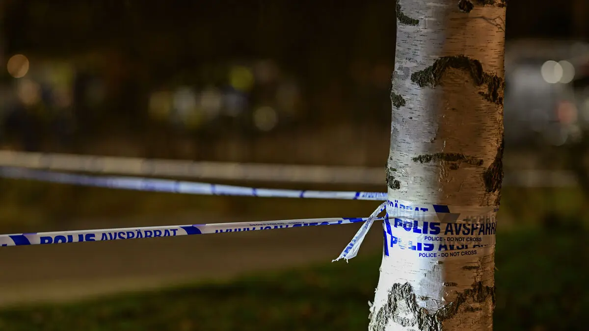 One dead in stabbing – one arrested