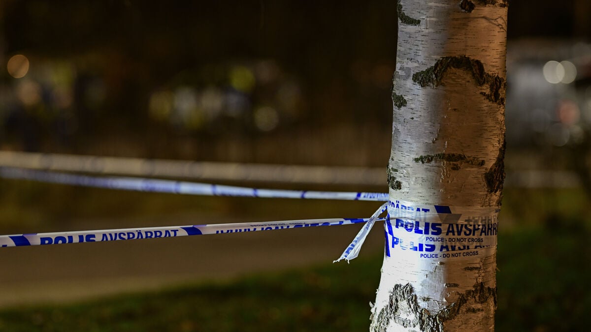 One dead in stabbing – one arrested