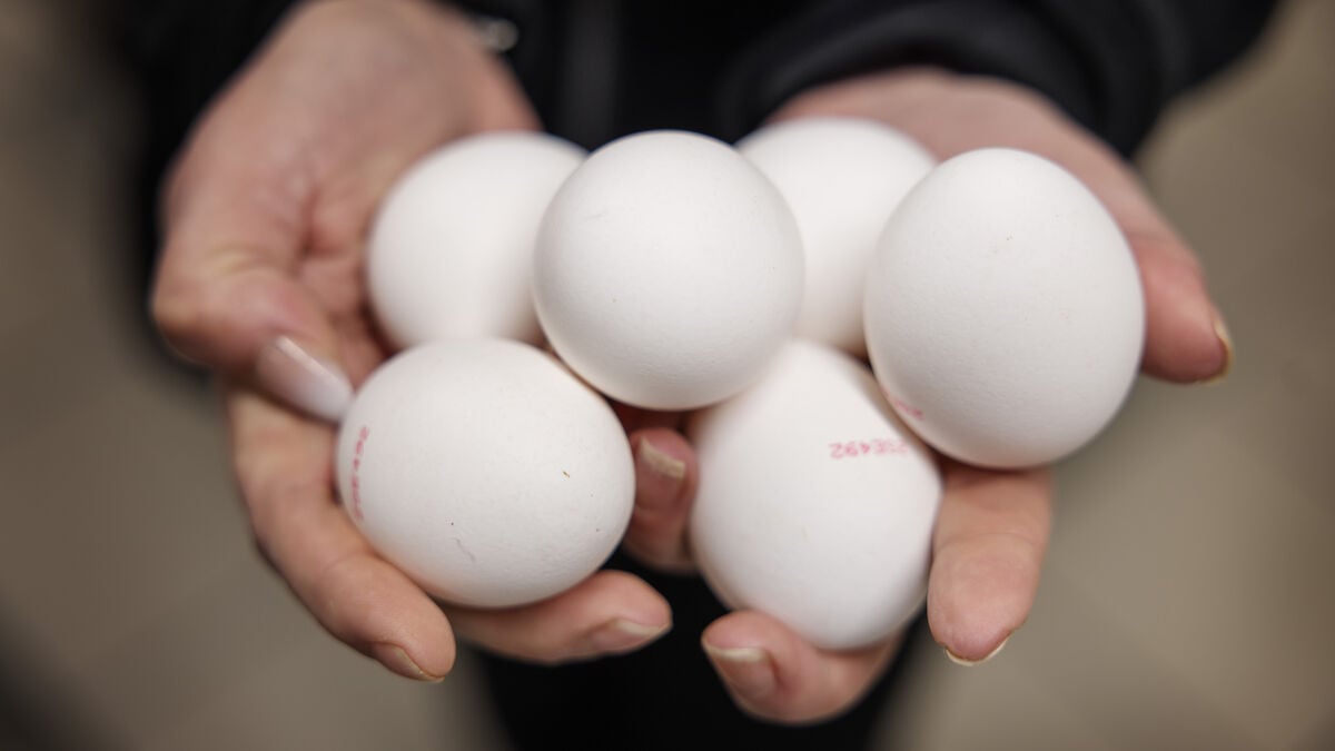 Choosing eggs for Easter is a matter of the heart