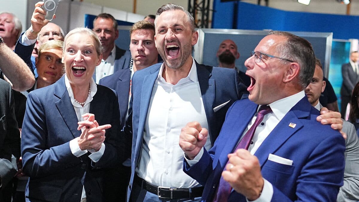 AfD wins largest share in Saxony-Anhalt election, but falls short of majority