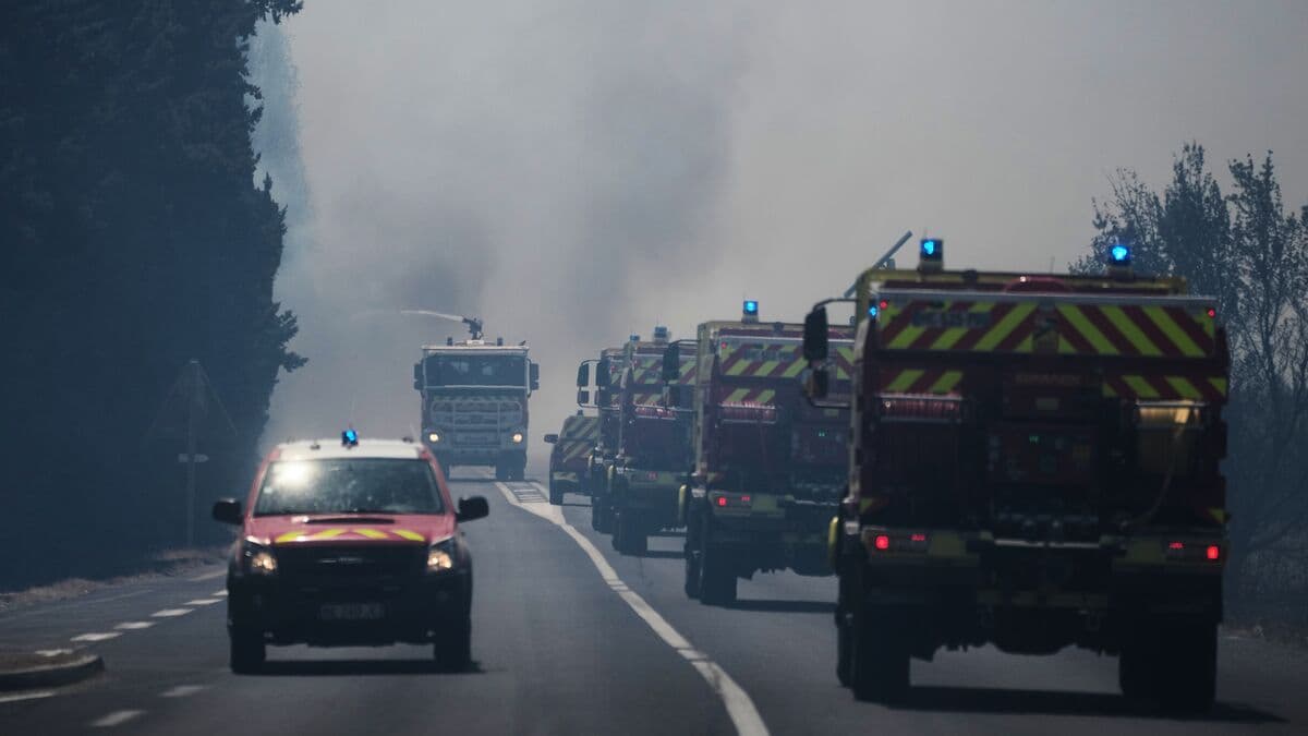 France hit by new prolonged heat wave as temperatures top 40 degrees