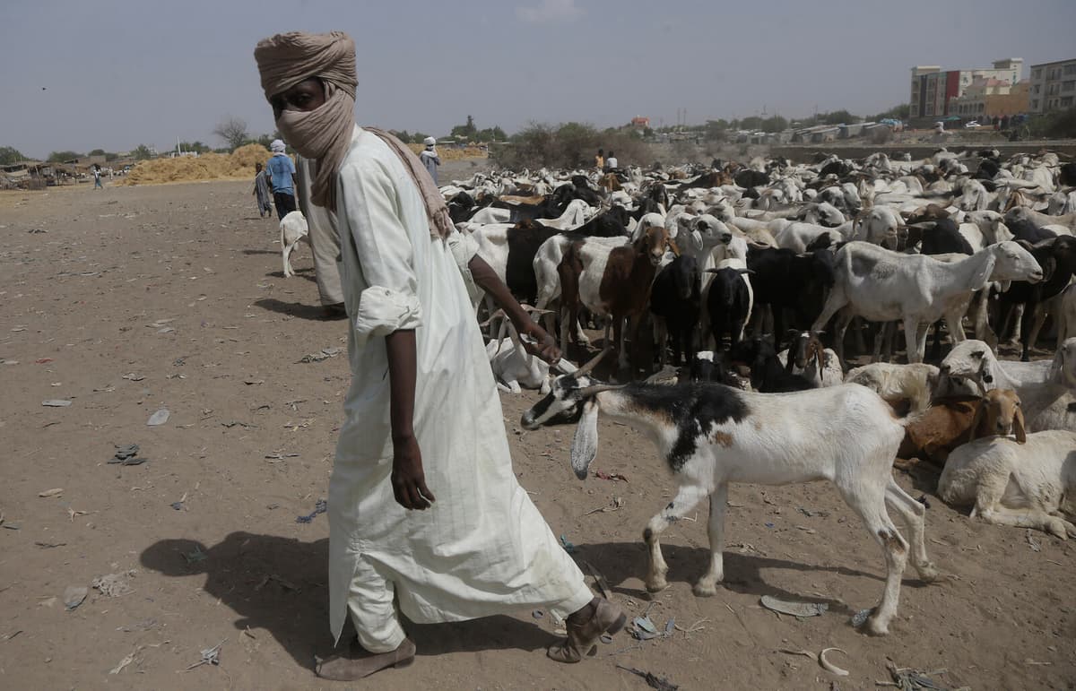Over 30 Killed in Violent Clashes in Southwestern Chad