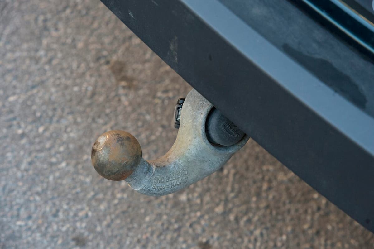 Man Sentenced for Animal Cruelty After Dog Dragged Behind Car