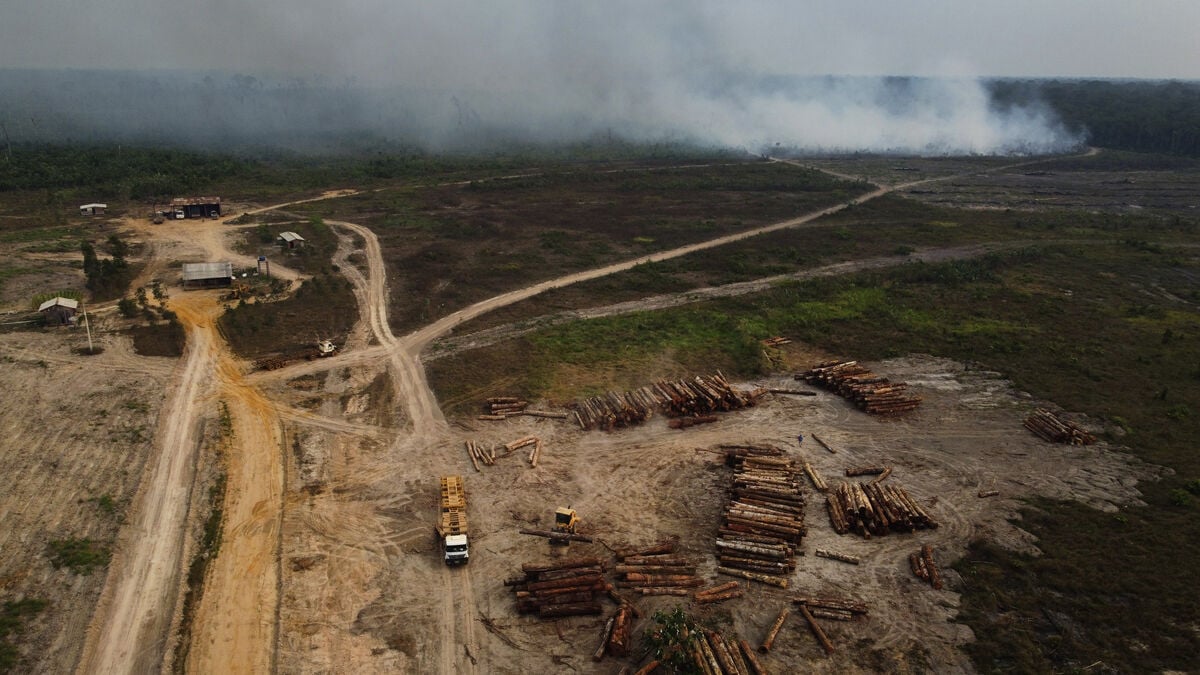 Lula’s Re-election Brings Relief to Brazil’s Environmental Movement
