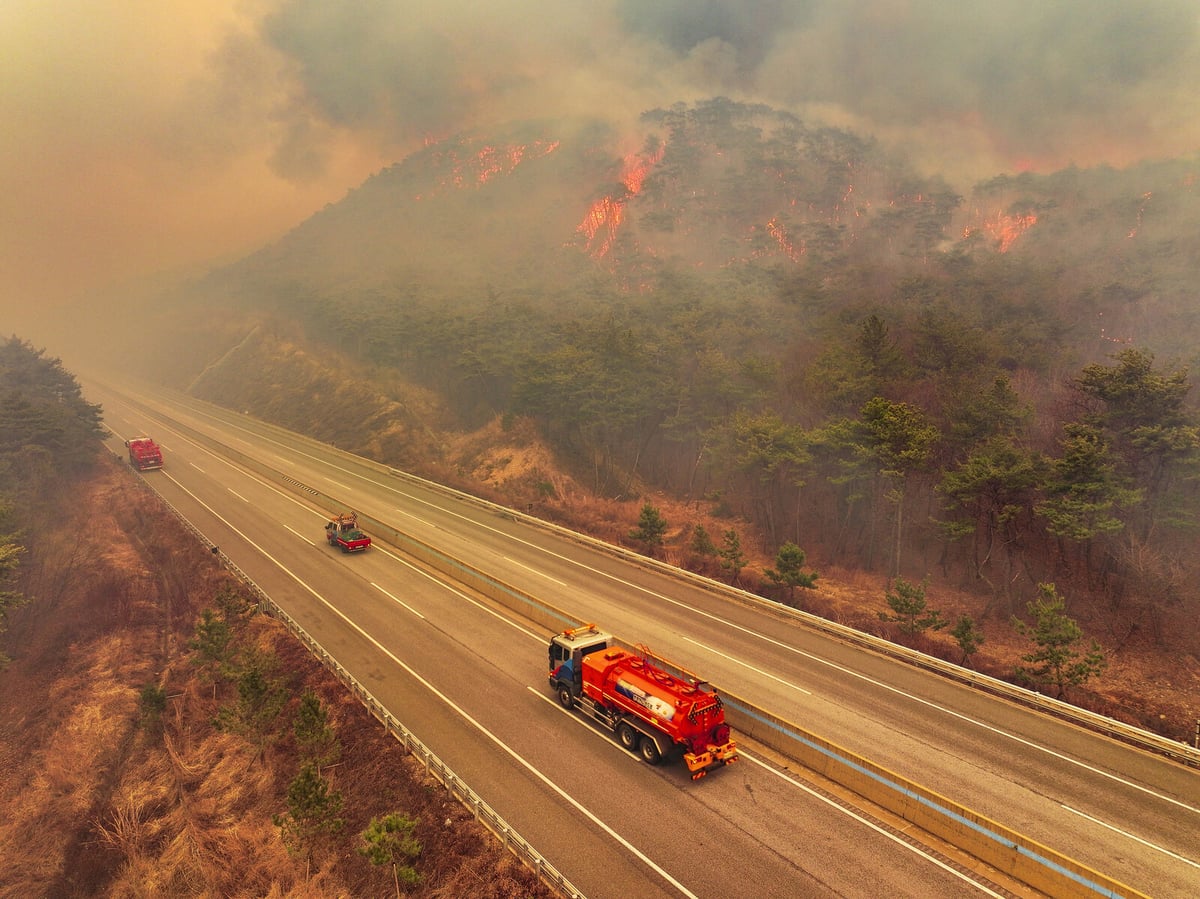 Global Forest Fire Emissions Below Average in Early 2023