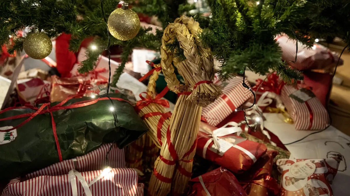 Stole 150 packages before Christmas – got caught