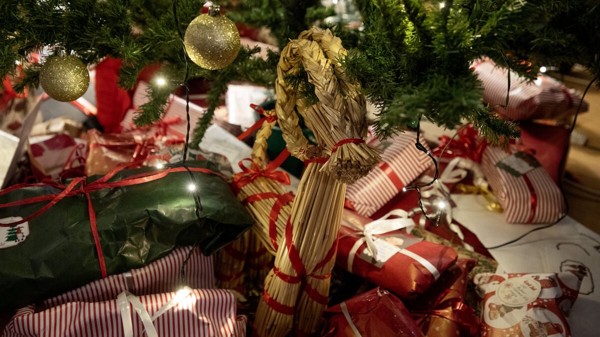 Stole 150 packages before Christmas – got caught