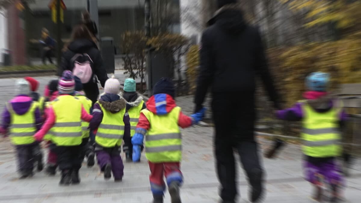 Special investigator dismisses mandatory language preschool for children with insufficient knowledge of Swedish