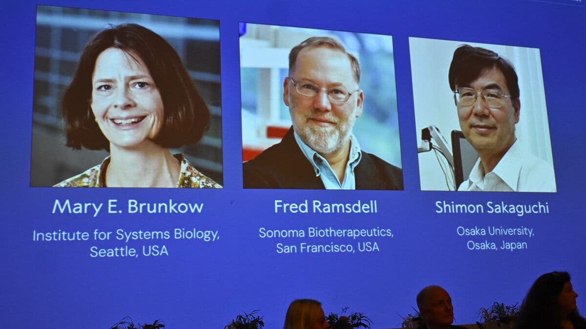 Nobel Prize Awarded for Discoveries in Immune System Regulation