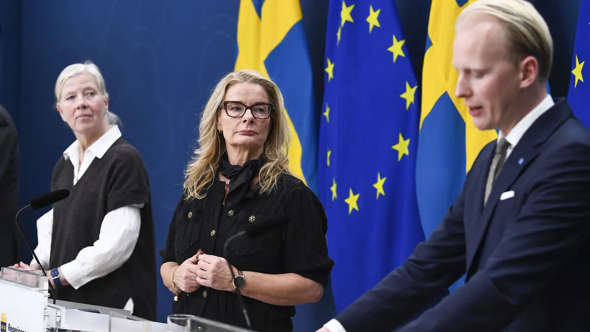 After the alarms: The government