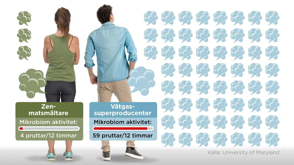 Fisbyxa to provide answers to a difficult gas mystery