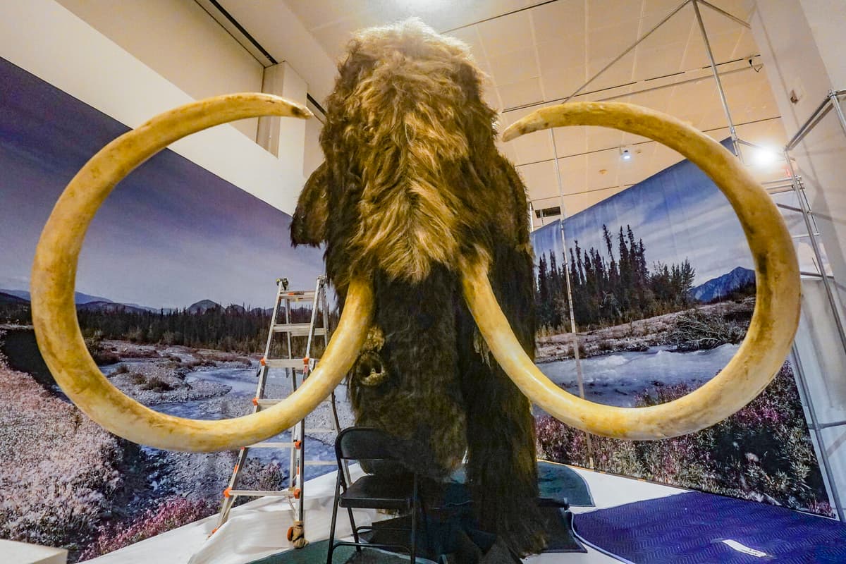 Colossal Plans to Revive Woolly Mammoths by 2028
