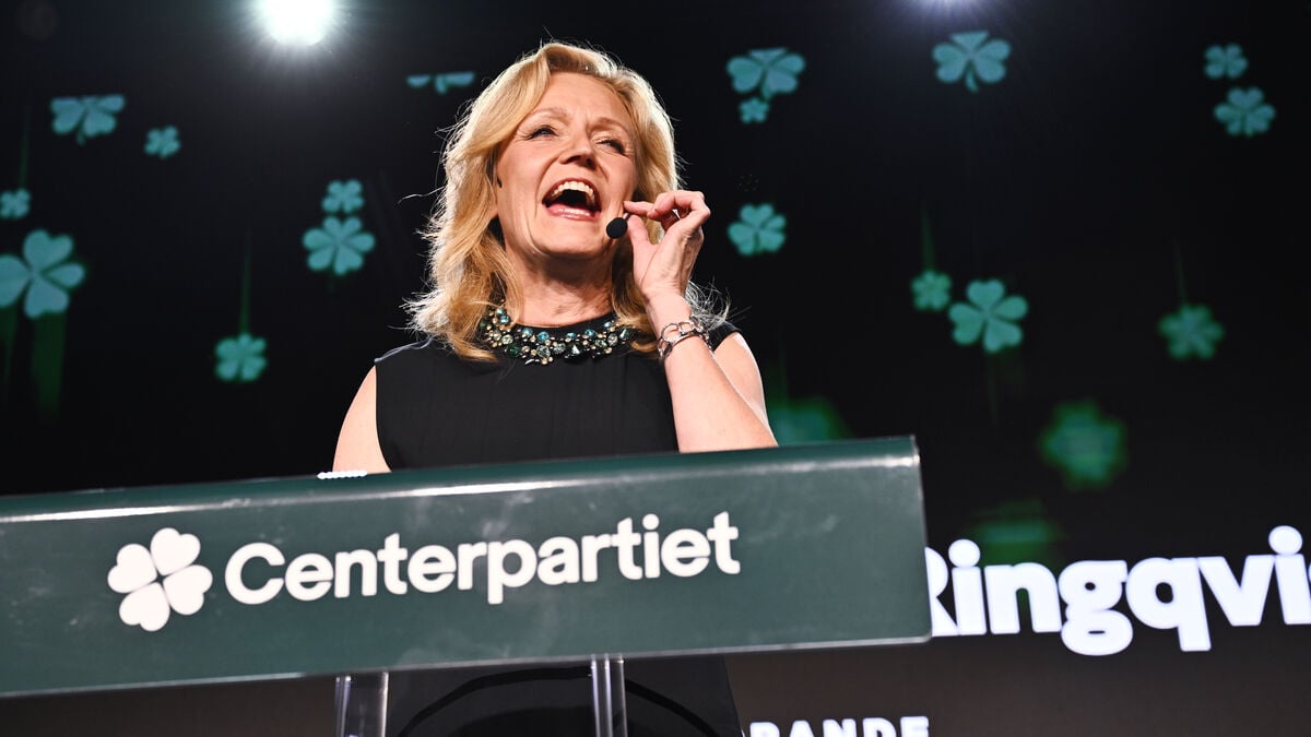 Thand Ringqvist: It will take time to form a new government