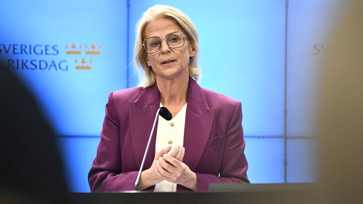 Svantesson on SD’s promise: Not sure it will work