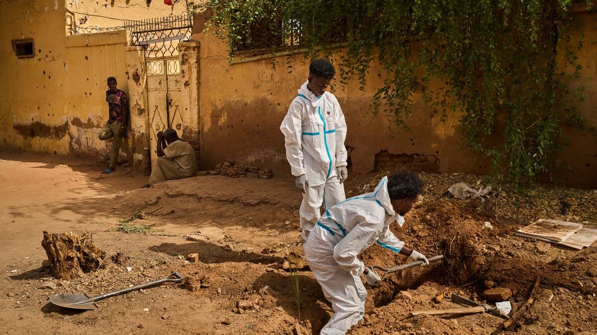 At least 15 civilians killed in drone strikes in Sudan's North Kordofan, rights group says