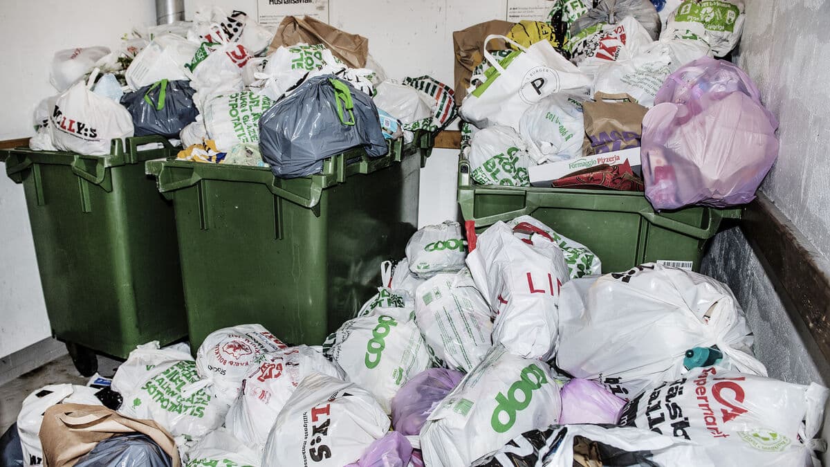 Disgusting garbage rooms increase the risk of maggots